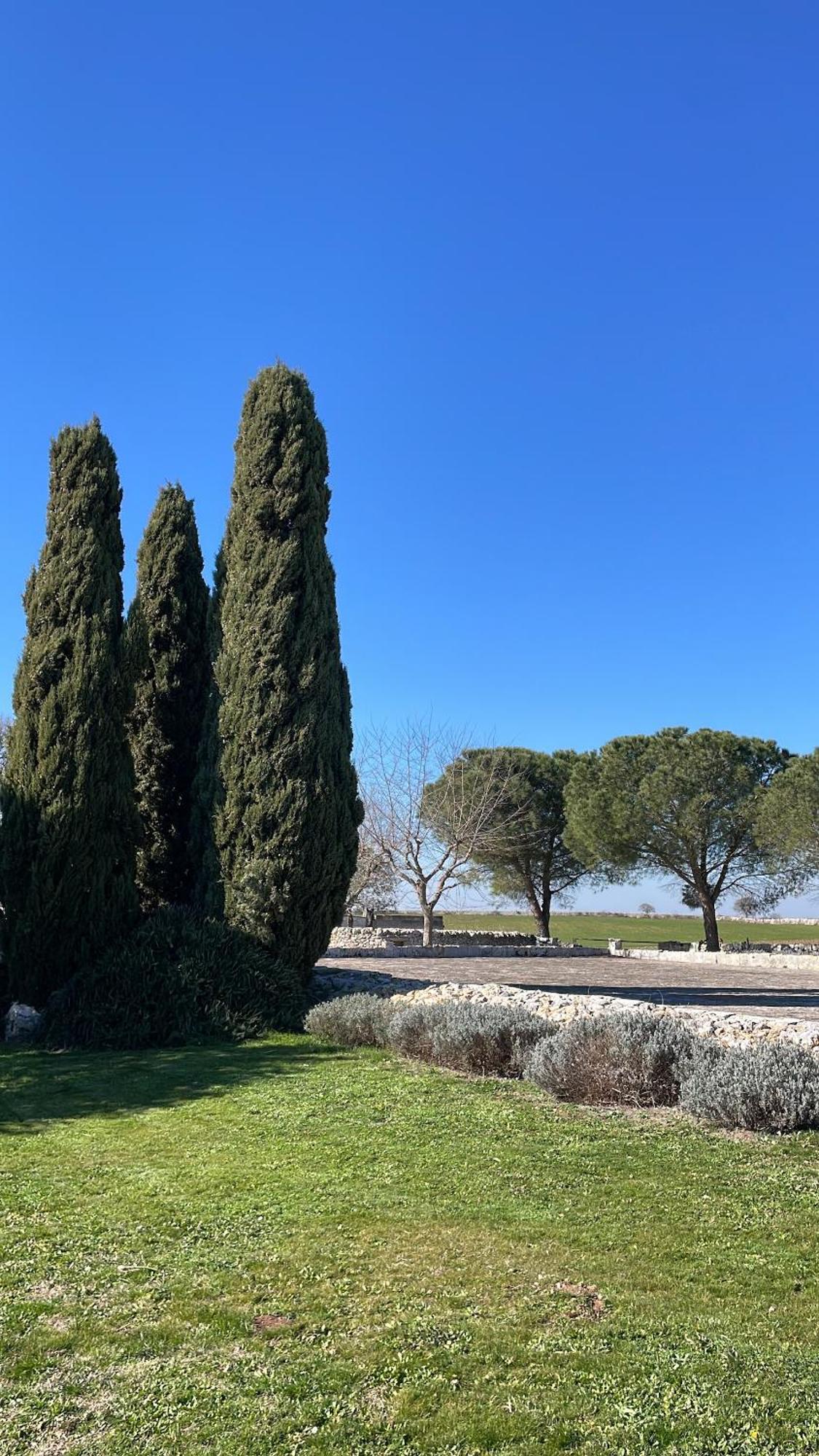 Masseria La Mandra Noci Luaran gambar